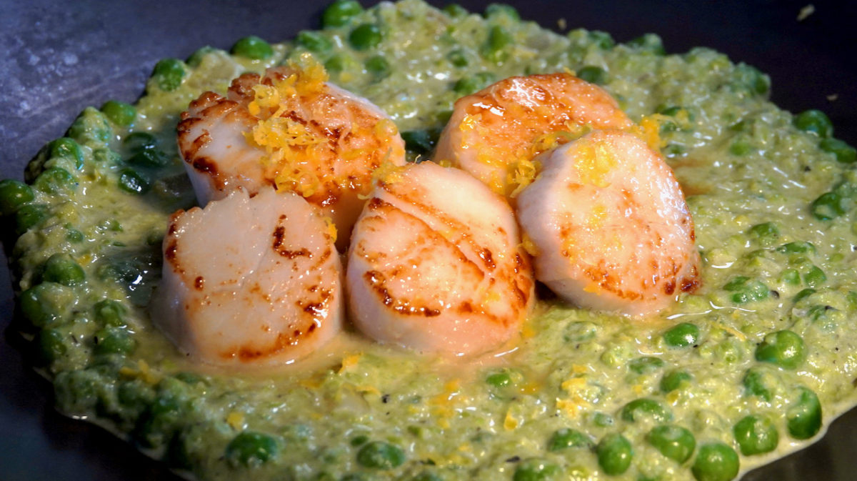 Jun 11: Tuna Salad; Seared Scallops with Pea Puree